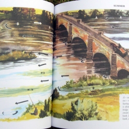 Apprendre à lire une rivière pour la pêche - un dessin de B. Venable