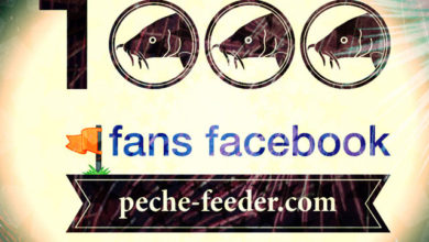 Facebook peche feeder