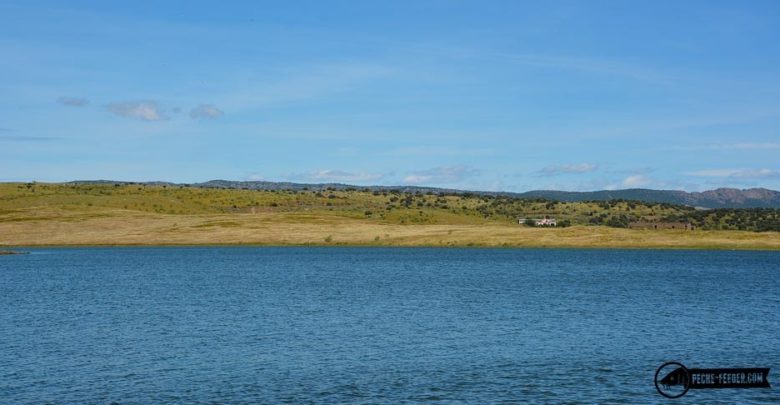Paysages du lac de Orellana