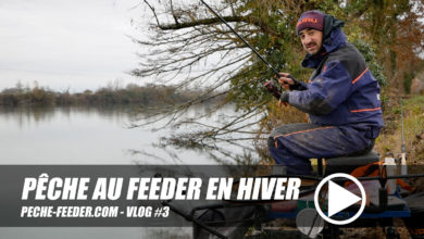 Pêche au feeder en hiver en vidéo