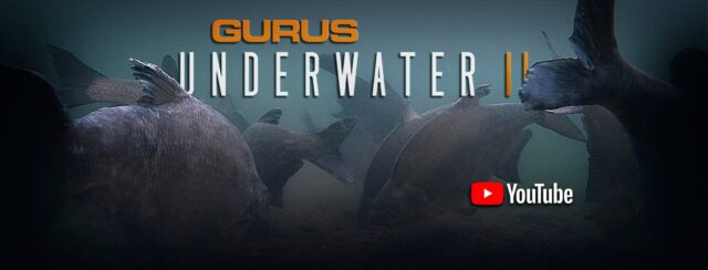 video-peche-feeder-underwater-tackle-guru-2