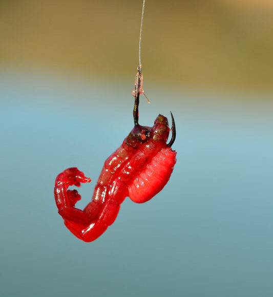 peche-etang-hiver-feeder-11