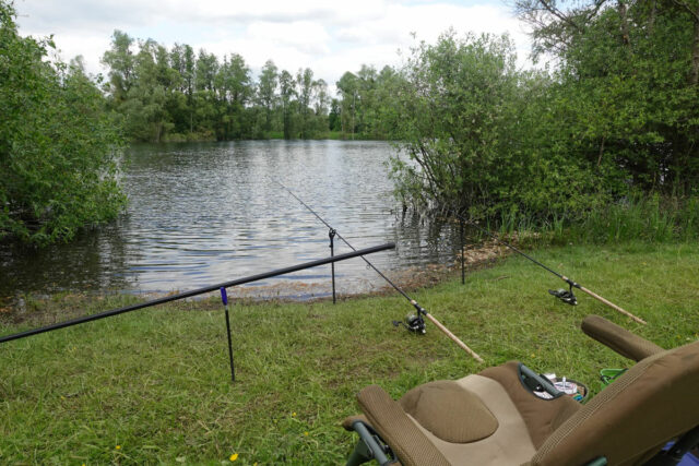 peche-tanche-method-feeder-6