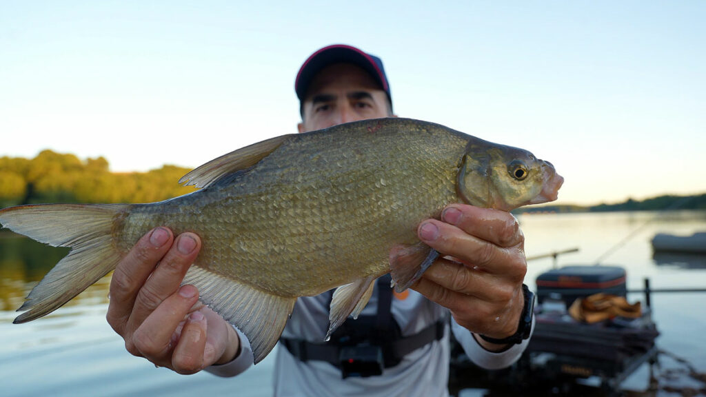 La récompense : un beau poisson pris en soirée.