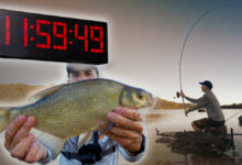 peche-rapide-feeder-coup-du-soir-9