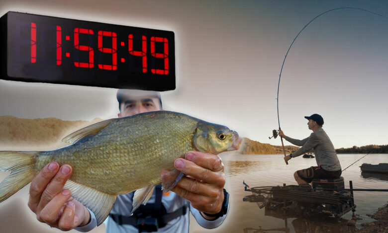 peche-rapide-feeder-coup-du-soir-9