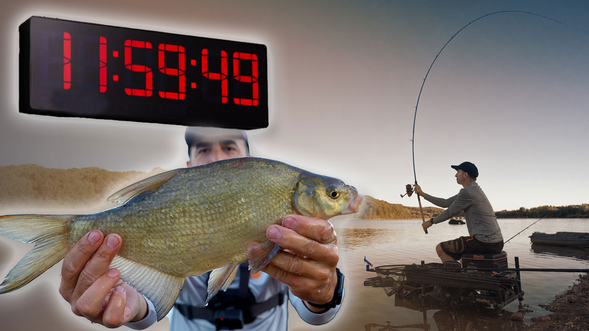 peche-rapide-feeder-coup-du-soir-9