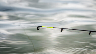scion-feeder-peche-puissance-oz