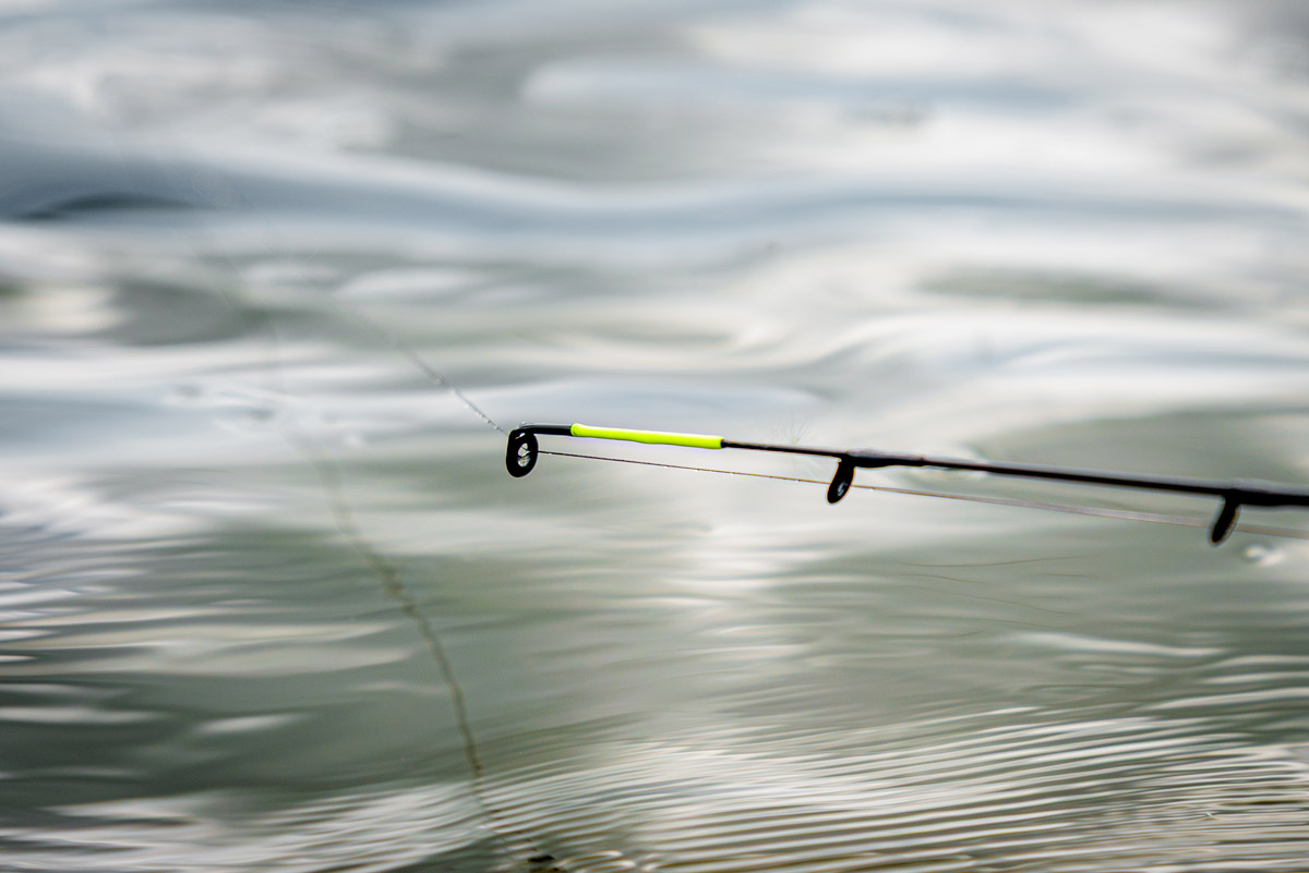 scion-feeder-peche-puissance-oz