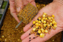 peche-a-la-carpe-misez-sur-les-graines-8