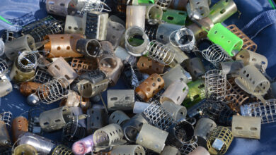 comment-choisir-feeder-guide-1