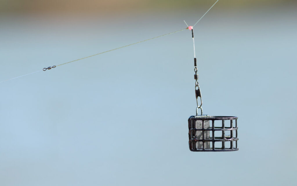 comment-choisir-feeder-guide-9