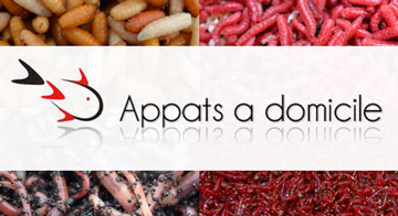 Appâts à Domicile