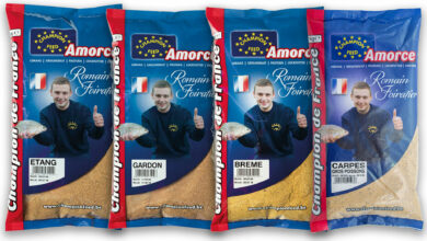 amorce-feeder-on-reprend-les-bases