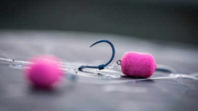 montage-cheveu-hamecon-peche-carpe-12