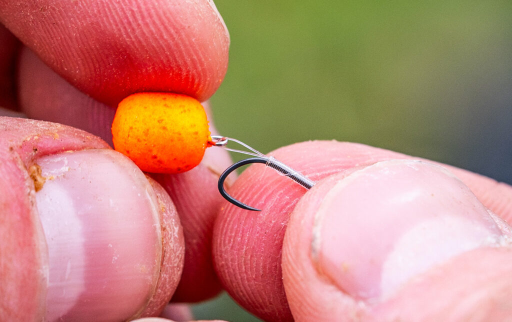 montage-cheveu-hamecon-peche-carpe-6