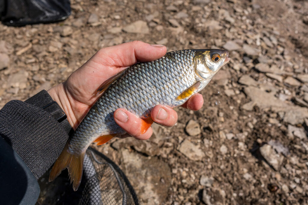 montage-feeder-tresse-directe-2