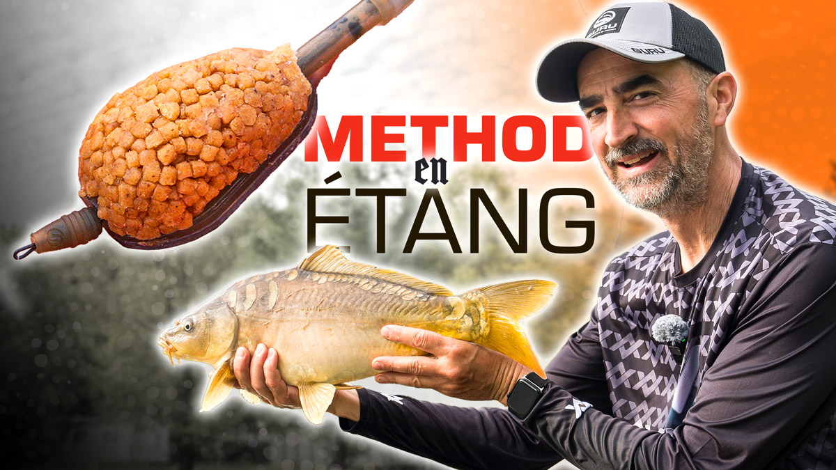 peche-method-feeder-etang-1