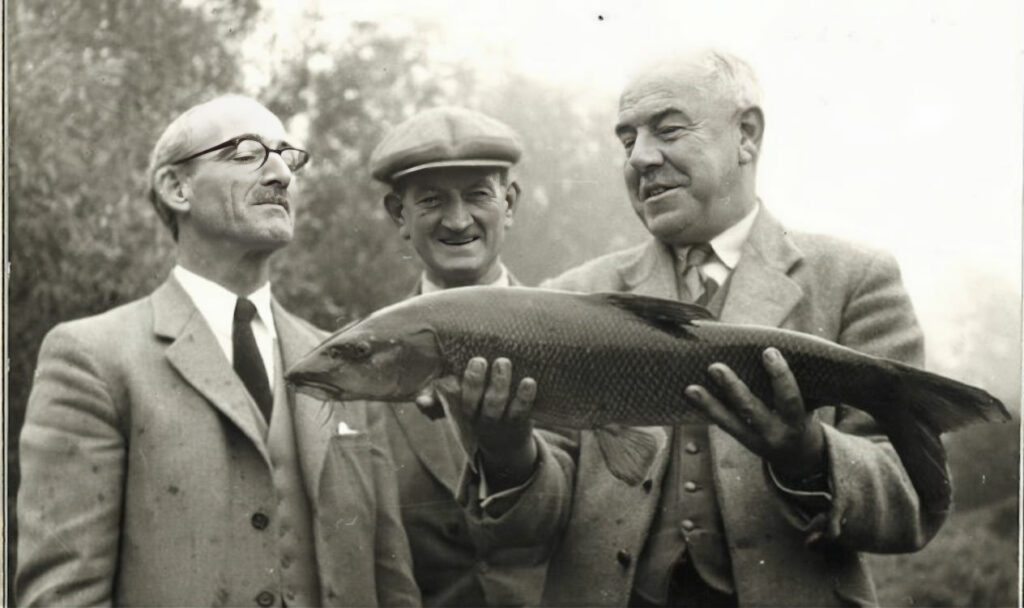 La traque du barbeau est un sport de gentlemen en Angleterre. Depuis toujours ce poisson combatif est recherché et des techniques spécifiques se sont développées.