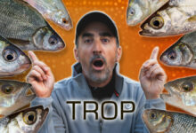 pecher-trop-de-poissons-10
