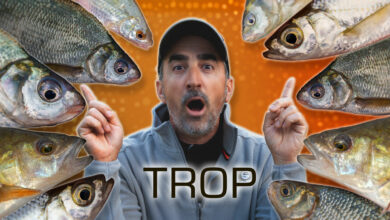 pecher-trop-de-poissons-10
