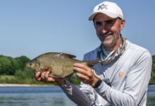 peche-feeder-conseil-astuces-1